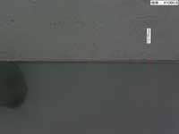30um Thickness Glass Cutting