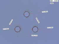 PET Film Micropore Processing